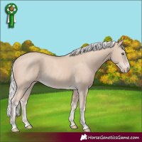Horse Color:Silver Smoky Creme Rabicano