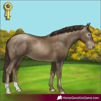 Horse Color:Gray Smoky Black Pearl 