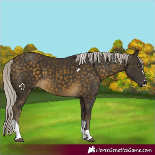 Horse Color:Silver Buckskin Tobiano