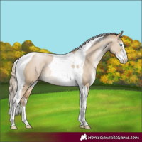 Horse Color:Chocolate Palomino Pearl Dun Sabino Tobiano