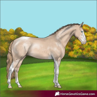 Horse Color:Perlino Sabino Tobiano Rabicano 