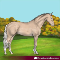 Horse Color:Silver Perlino Sabino Tobiano 