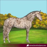 Horse Color:Chocolate Palomino Tobiano  and Perlino Sabino Tobiano 