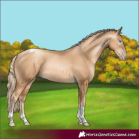 Horse Color:Gray Gold Cream Champagne Pearl Tobiano Rabicano 