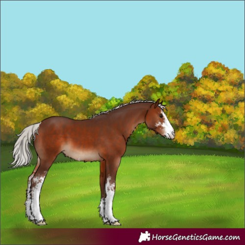 Horse Color:Silver Brown Sabino 
