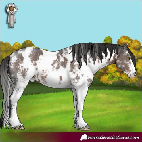 Horse Color:White Spotted Liver Chestnut Sabino 