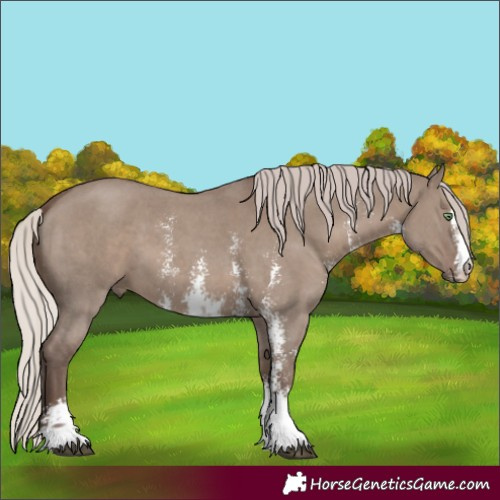 Horse Color:Silver Grullo Sabino 