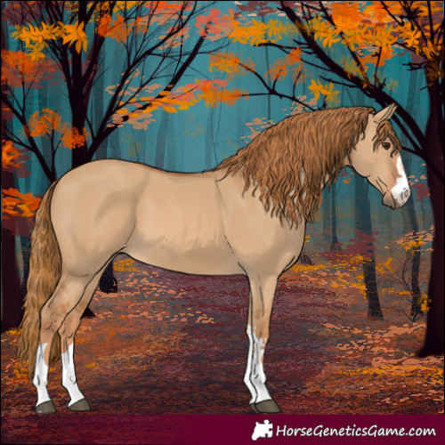 Horse Color:Red Dun