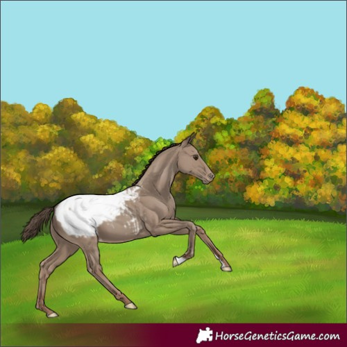 Horse Color:Classic Champagne Snowcap