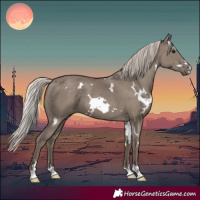 Horse Color:White Spotted Silver Grullo