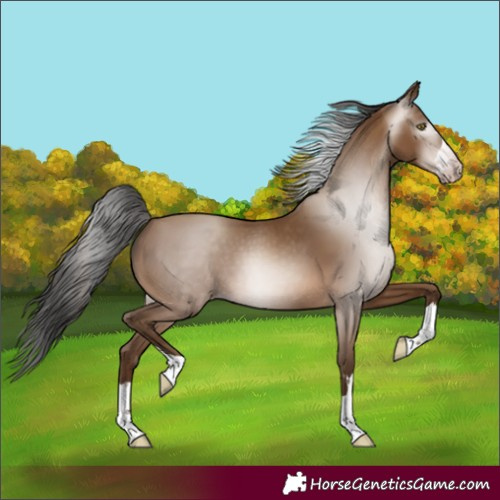 Horse Color:Gray Amber Champagne 