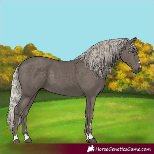 Horse Color:Silver Black 