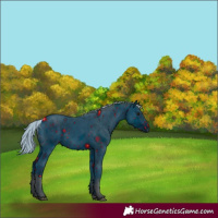 Horse Color:ERROR: UNKNOWN ANOMALY