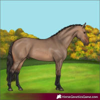 Horse Color:Bay Dun