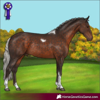 Horse Color:Silver Brown Tobiano Rabicano 