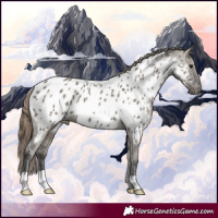 Horse Color:Smoky Grullo Near Leopard