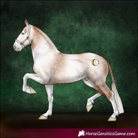 Horse Color:Gray Gold Champagne Splash Tobiano 