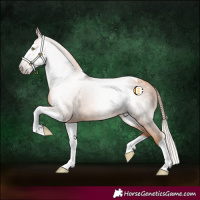 Horse Color:Gray Gold Champagne Splash Tobiano 