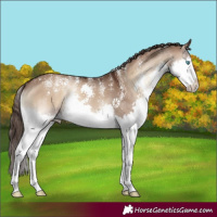Horse Color:Powder White Liver Red Dun Onyx Splash 
