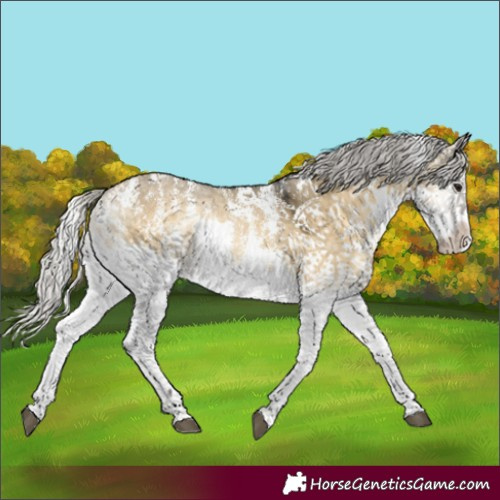 Horse Color:Silver Buckskin Onyx Sabino Splash