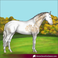 Horse Color:Chocolate Palomino Onyx Sabino Splash 
