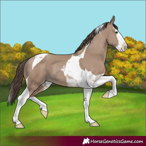 Horse Color:Classic Champagne Splash Tobiano 