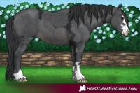 Horse Color:Platinum Brown Ice