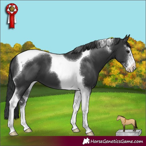 Horse Color:Black Sabino Tobiano 