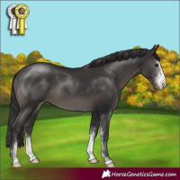Horse Color:Smoky Black Sabino Appaloosa