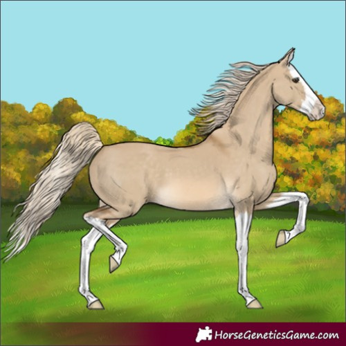 Horse Color:Chocolate Palomino Dun Splash 