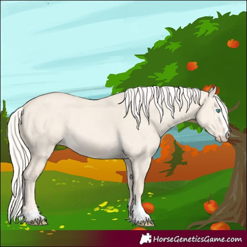Horse Color:Cremello Dun