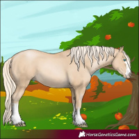 Horse Color:Palomino Pearl