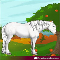 Horse Color:Cremello 