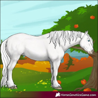 Horse Color:Cremello 