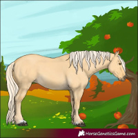 Horse Color:Palomino Dun