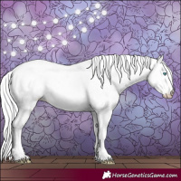 Horse Color:Cremello Dun Appaloosa 