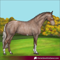 Horse Color:Gray Silver Blue Roan Pearl Tobiano 