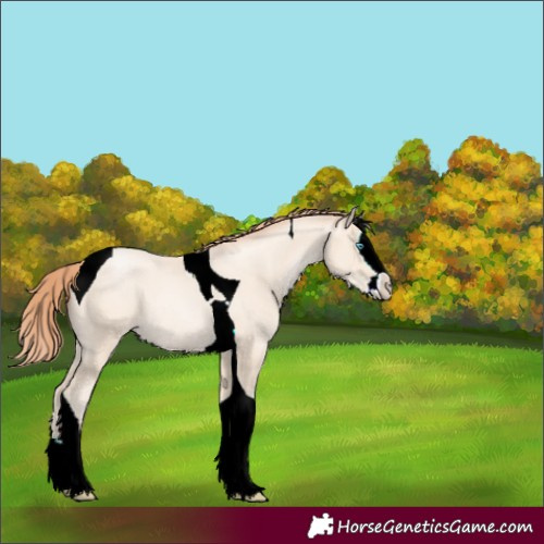 Horse Color:Classic Cream Champagne Pearl Splash Tobiano