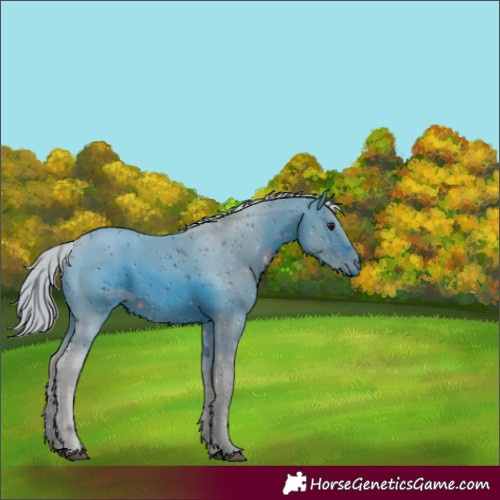 Horse Color:ERROR: UNKNOWN ANOMALY