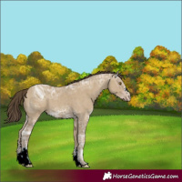 Horse Color:ERROR: UNKNOWN ANOMALY