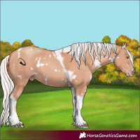Horse Color:White Spotted Silver Classic Champagne Tobiano 