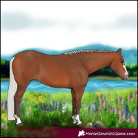 Horse Color:Silver Bay