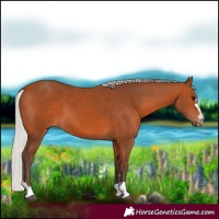 Horse Color:Silver Bay