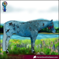 Horse Color:ERROR: UNKNOWN ANOMALY