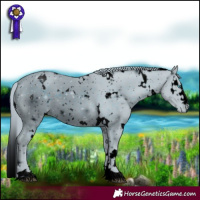 Horse Color:ERROR: UNKNOWN ANOMALY