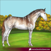 Horse Color:Powder White Liver Red Onyx Splash Tobiano Rabicano