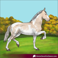 Horse Color:Silver Bay Dun Sabino Tobiano Frame Rabicano 