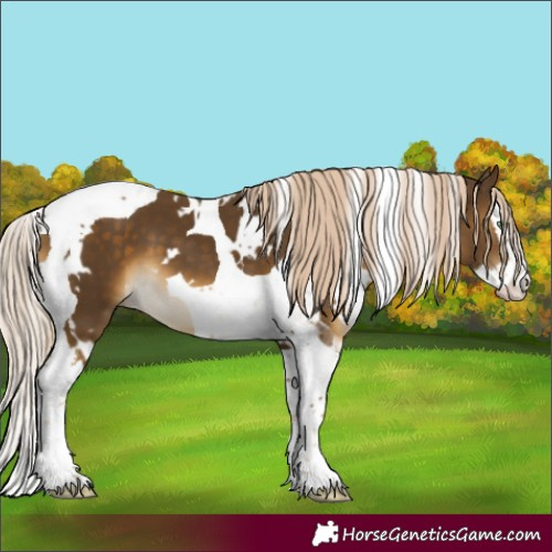 Horse Color:White Spotted Chocolate Palomino Mushroom Splash Tobiano
