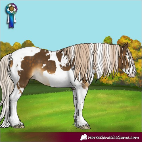 Horse Color:White Spotted Chocolate Palomino Mushroom Splash Tobiano