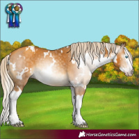 Horse Color:Gray White Spotted Gold Cream Champagne Mushroom Splash 